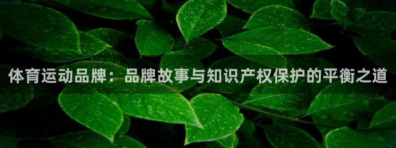 3377体育官网下载是干嘛的公司：体育运动品牌：品牌