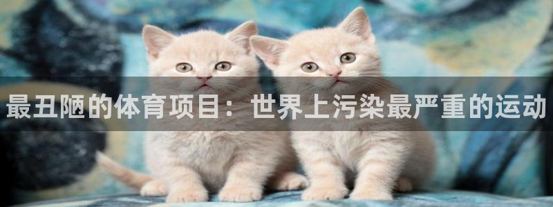 3377体育官网下载招商：最丑陋的体育项目：世界上污