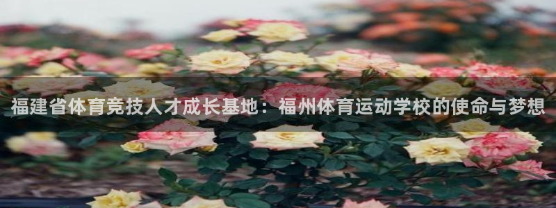 3377体育官网下载是干嘛的公司：福建省体育竞技人才