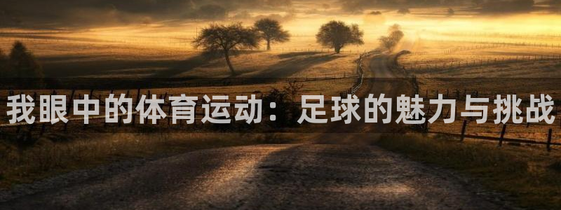 3377体育官方正版app娱乐下载