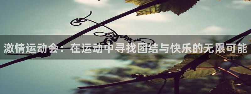 3377体育官方正版app娱乐网站：激情运动会：在运动中寻找