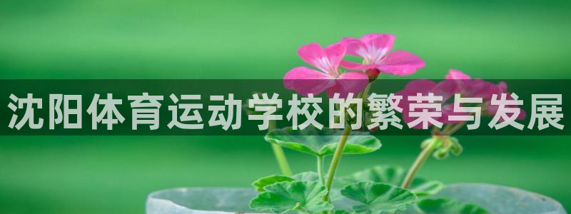 3377体育官网下载招商电话地址是多少：沈阳体育运动学校的繁