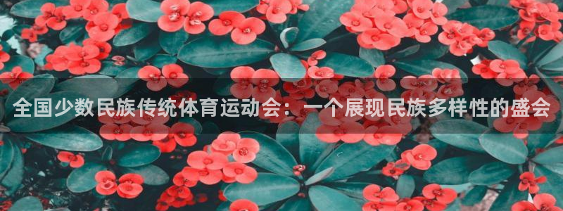 3377体育官方正版app娱乐下载：全国少数民族传统