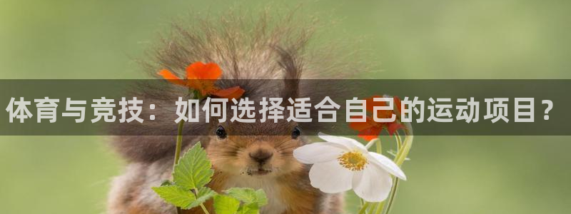 3377体育官网下载平台假的吗是真的吗吗