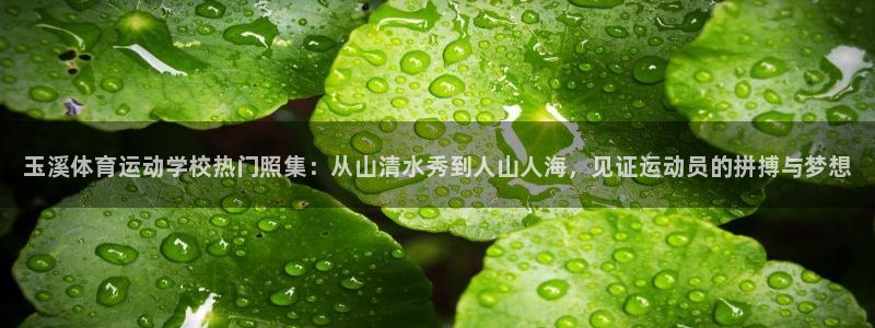 3377体育官方正版app娱乐40996