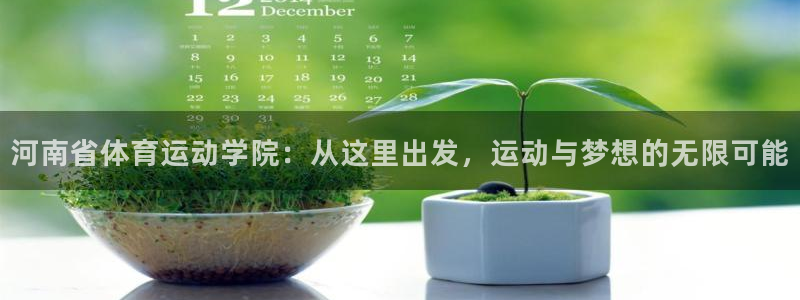 3377体育官方正版app娱乐代理怎么样：河南省体育