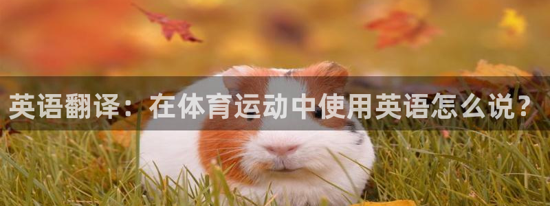 3377体育官网下载招商电话地址是多少：英语翻译：在