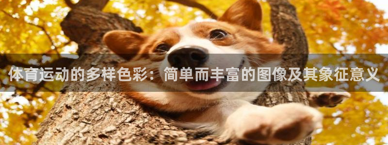 3377体育官网下载软件：体育运动的多样色彩：简单而