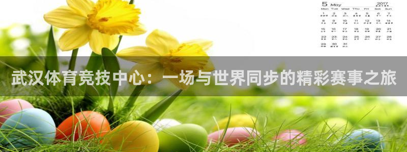 3377体育官方集团官网：武汉体育竞技中心：一场与世界同步的