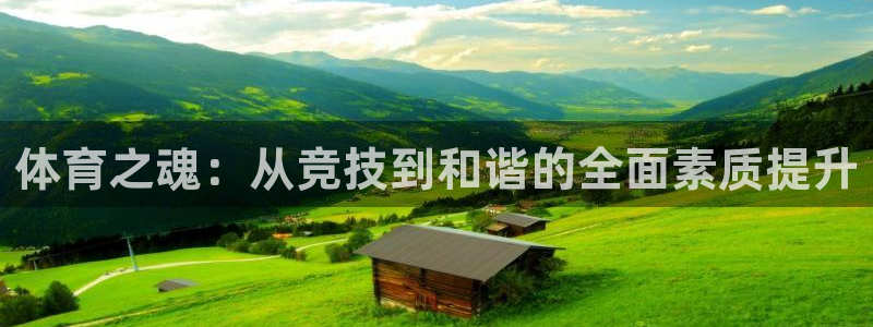 3377体育官方正版app官网