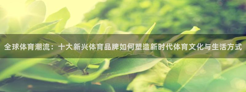 3377体育官网下载娱乐：全球体育潮流：十大新兴体育