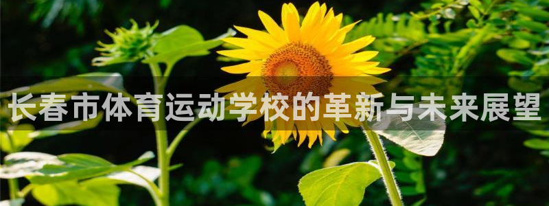 3377体育官网下载平台注册要钱吗：长春市体育运动学校的革新