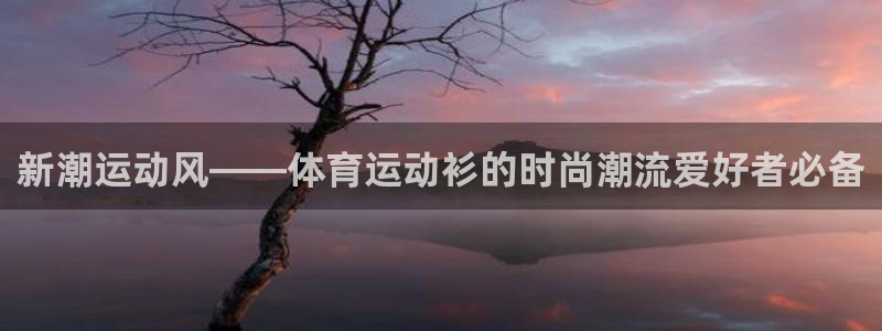 3377体育官网下载招商：新潮运动风——体育运动衫的
