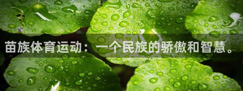 3377体育官方正版app官网