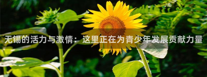 3377体育官方正版app开户：无锡的活力与激情：这里正在为
