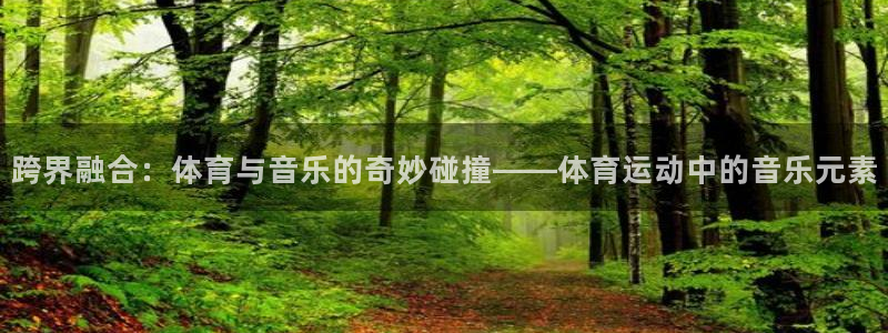 3377体育官网下载是干嘛的公司