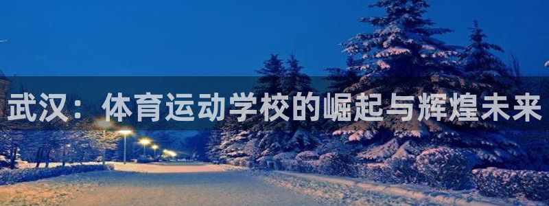 3377体育官网下载官方客服电话