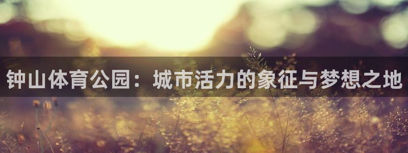 3377体育官方正版app娱乐首页官网下载：钟山体育