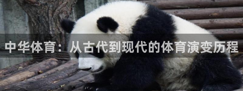 3377体育官网下载注册：中华体育：从古代到现代的体