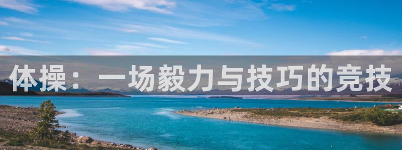3377体育官方集团官网：体操：一场毅力与技巧的竞技