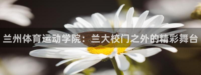  3377体育唯一官方网站：兰州体育运动学院：兰大校门之外的精