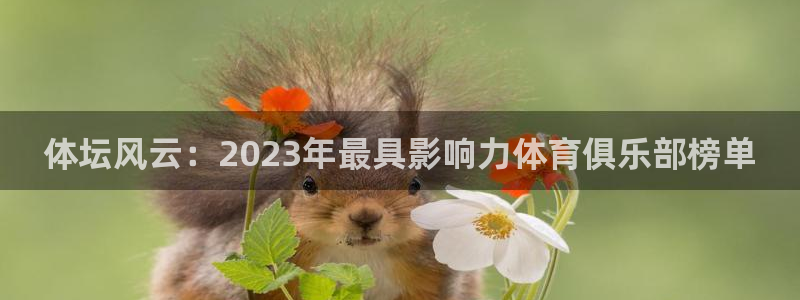  3377体育游戏：体坛风云：2023年最具影响力体育俱乐部榜