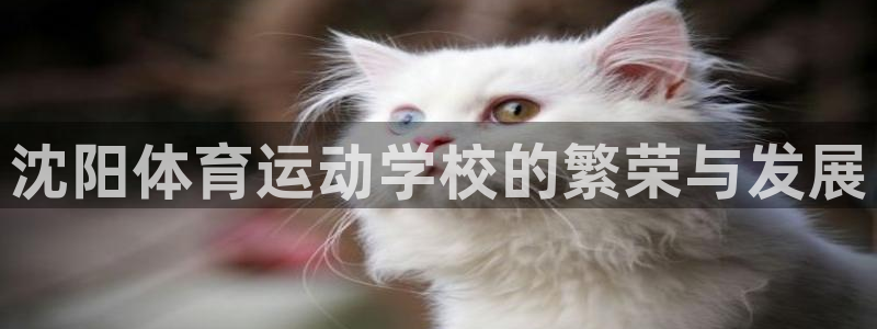 3377体育官网：沈阳体育运动学校的繁荣与发展