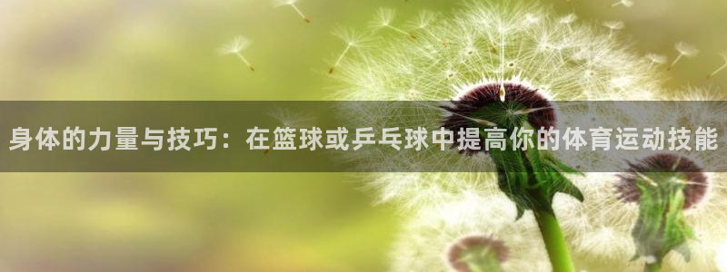 3377体育游戏：身体的力量与技巧：在篮球或乒乓球中提高你的