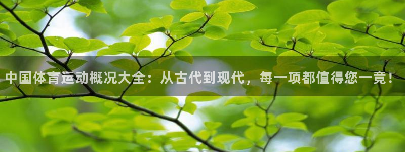 3377体育能爆吗：中国体育运动概况大全：从古代到现代，每一