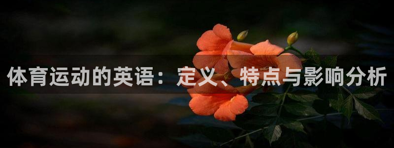 3377体育什么台子：体育运动的英语