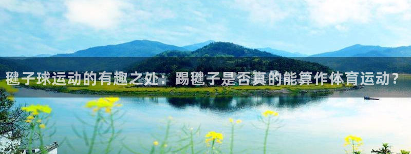 3377体育app倒闭了吗知乎：毽子