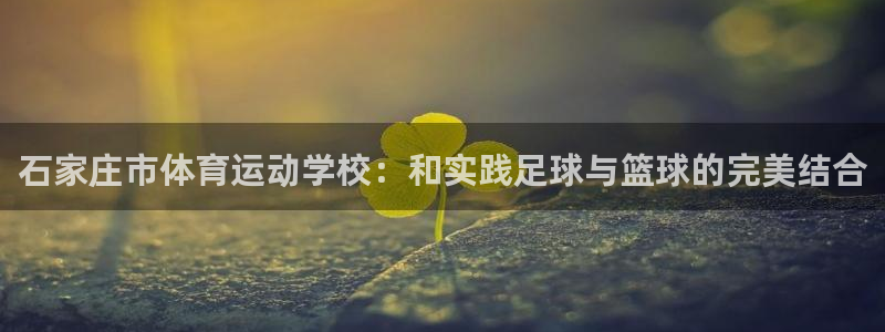 3377体育手机平台