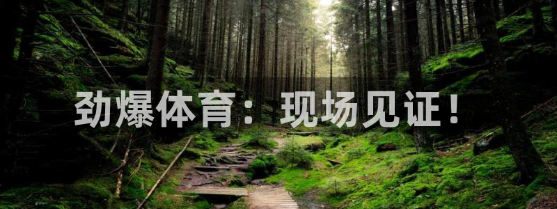 833直播体育：劲爆体育：现场见证！